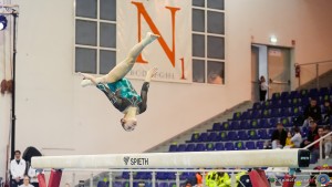 finali app sfe02010 copia simone ferraro ph